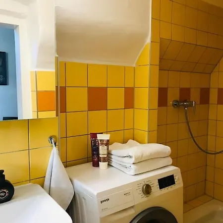 Neue Im Zentrum Von Fuer 2-3 Personen Graz